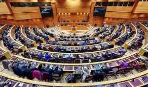 Vox registra una moción en el Senado para el tratamiento de adicciones
