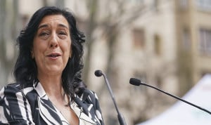 Vox traslada al Parlamento de Euskadi el debate sobre el turismo sanitario