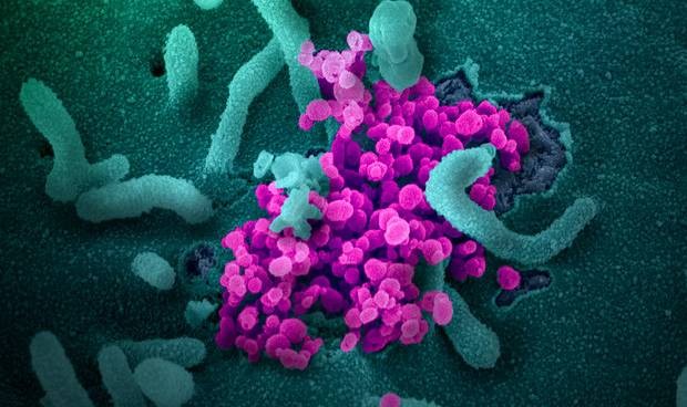 Coronavirus últimas noticias: confinamiento ampliado y 'permiso' para niños