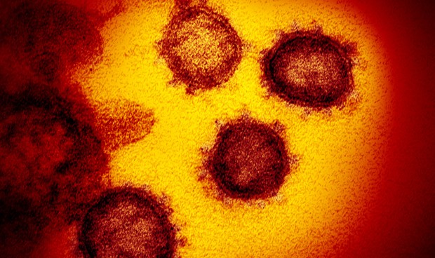 Coronavirus últimas noticias de hoy martes: última hora en directo