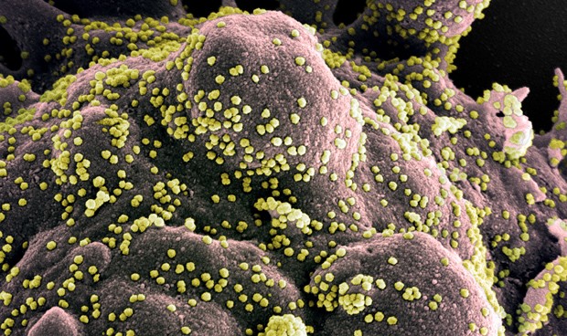 Coronavirus últimas noticias en España: toda la actualidad del miércoles