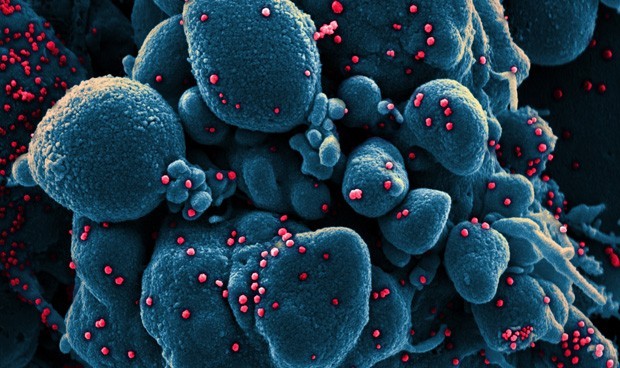 Coronavirus últimas noticias en directo de España hoy: última hora y datos