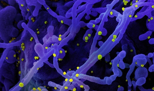 Coronavirus España, en directo: desescalada de medidas para Semana Santa