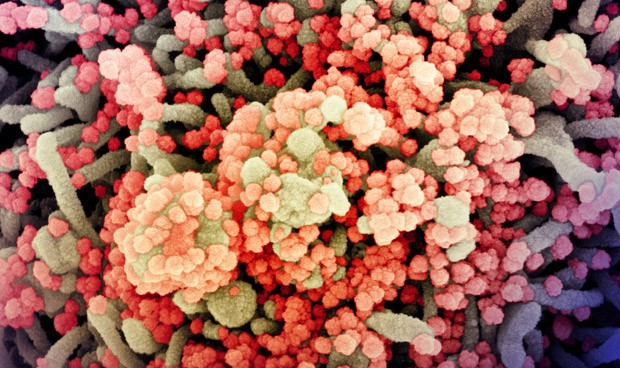 Coronavirus España hoy: nuevo hospital y bajada de la curva