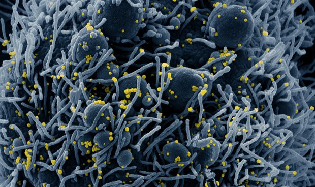 Coronavirus España hoy, últimas noticias: novedades en Madrid, nuevos datos