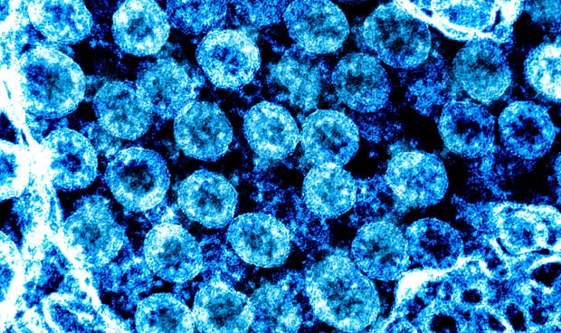 Coronavirus España, noticias en directo: nuevo plan Covid-19