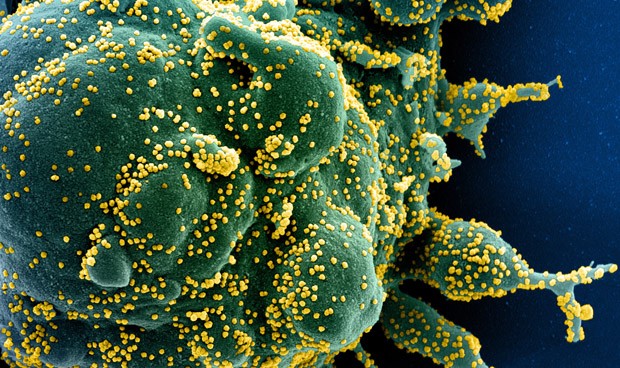 Coronavirus España, nuevos datos en directo: última hora de la pandemia