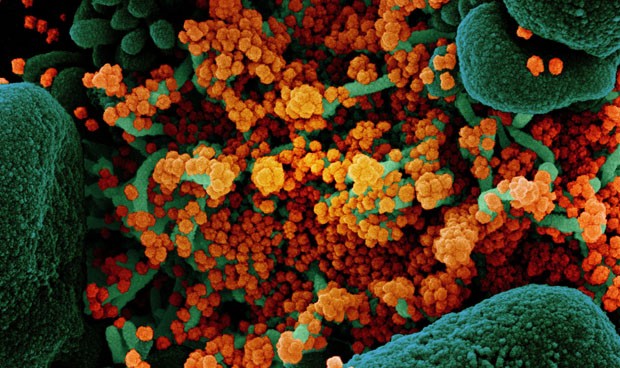 Coronavirus España: restricciones por barrios en Madrid y nueva cuarentena