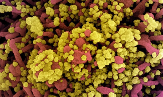Coronavirus España, última hora: toque de queda, estado de alarma y cierres