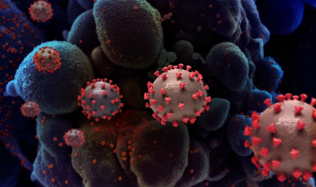 Coronavirus España última hora: casi todo el país cerrado por el puente