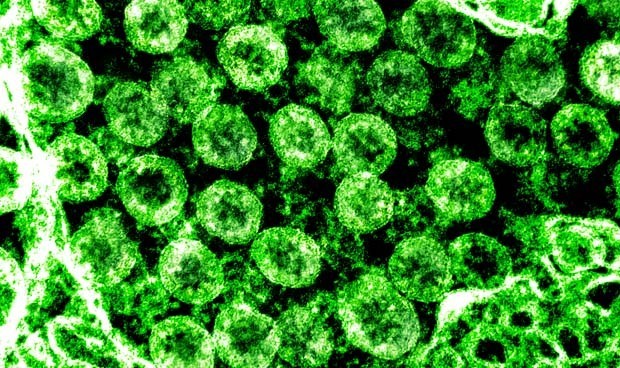 Coronavirus España, última hora: atraso en la vacunación y nuevos cierres