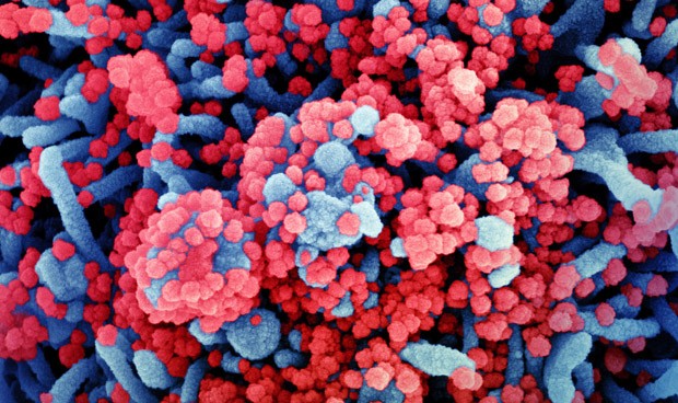 Coronavirus España, última hora en directo: nuevos datos de la segunda ola