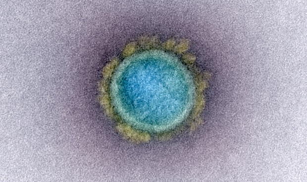 Coronavirus España, última hora hoy viernes: vacuna Covid y nuevos datos