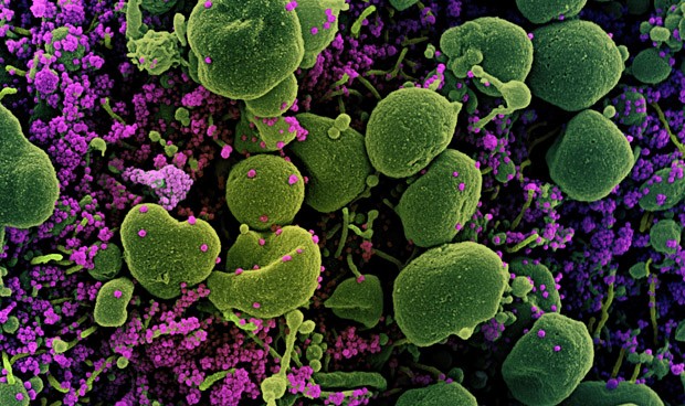 Coronavirus España, última hora: nuevas medidas y fecha de vacunación