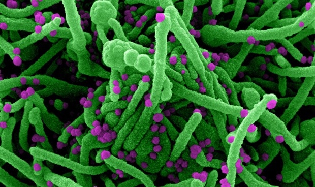 Coronavirus España, última hora: nuevas medidas y plazos de vacunas