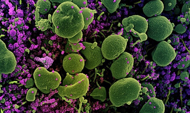 Coronavirus España: última hora sobre Madrid y cierre de bares en Barcelona