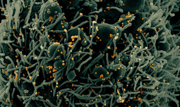 Coronavirus España, últimas medidas aprobadas: nuevos datos y restricciones