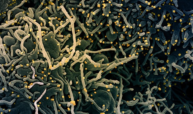 Coronavirus España, últimas noticias Covid-19: confinamientos en Madrid