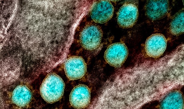 Coronavirus España, últimas noticias: día clave en Madrid y nuevos datos