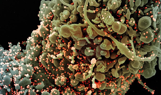 Coronavirus España, últimas noticias en directo hoy lunes: nuevos datos