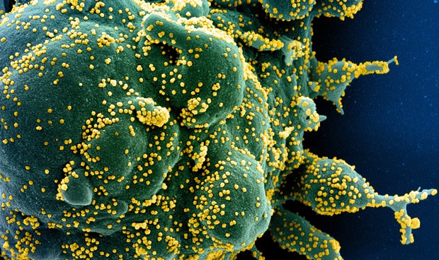 Coronavirus España, últimas noticias en directo: nuevas medidas en Madrid