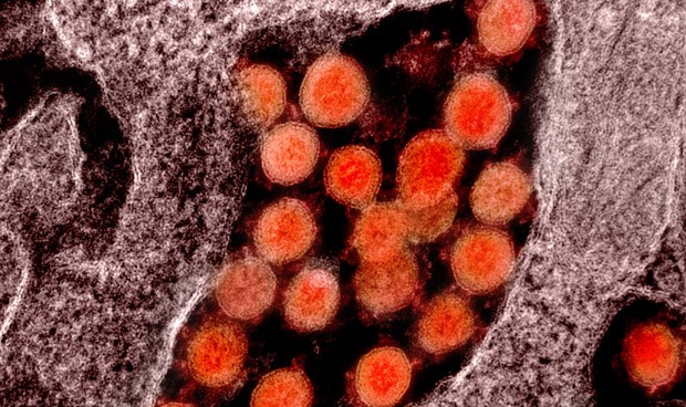 Coronavirus España, últimas noticias hoy: nuevas restricciones en Madrid