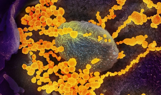 Coronavirus España Últimas noticias hoy: toque de queda, vacunas y casos 