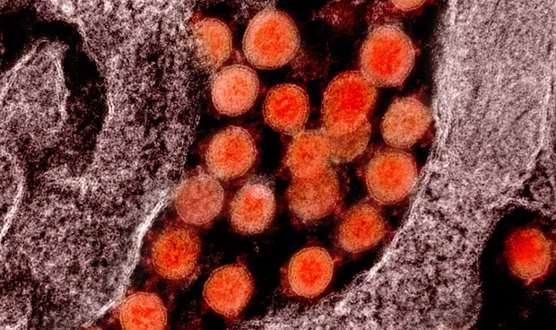 Coronavirus España, últimas noticias: Sánchez y nuevo plan de vacunación