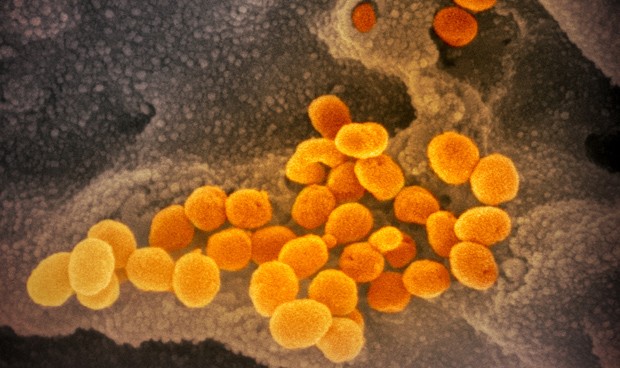 Coronavirus España: últimas noticias sobre Madrid, test y falta de médicos