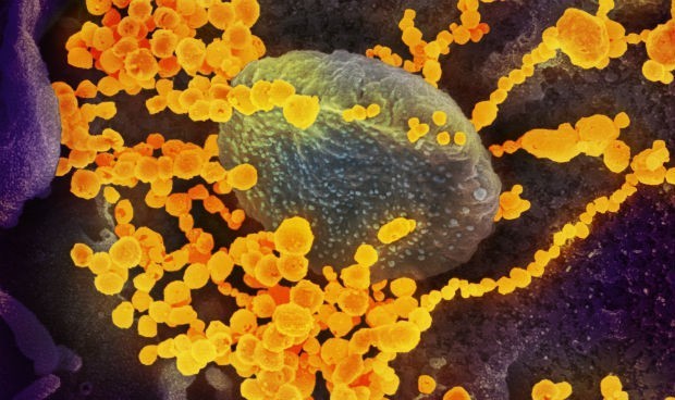 Coronavirus última hora en España: nuevas vacunas y cierres autonómicos