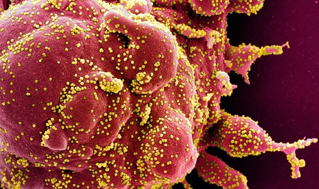 Coronavirus noticias en directo: última hora hoy, mascarillas obligatorias