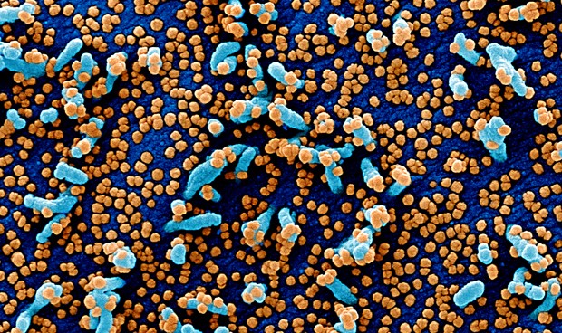 Coronavirus ultimas noticias en directo: novedades importantes de hoy