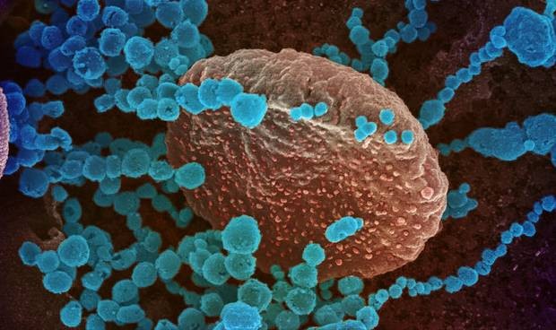 Coronavirus últimas noticias en directo: novedades más destacadas del día