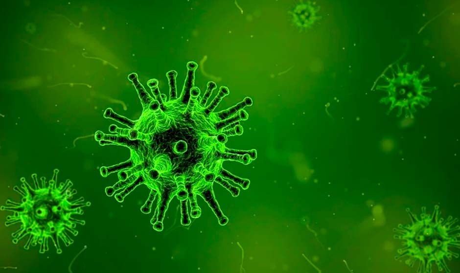 Covid-19, en directo: España notifica 8.463 nuevos casos desde el martes