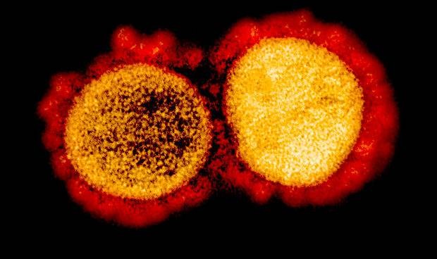 Coronavirus España última hora en directo hoy: nuevos datos disponibles