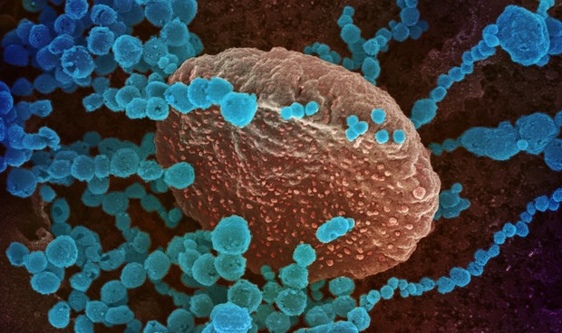 Covid-19 España en directo hoy: últimas noticias de brotes y cuarentenas