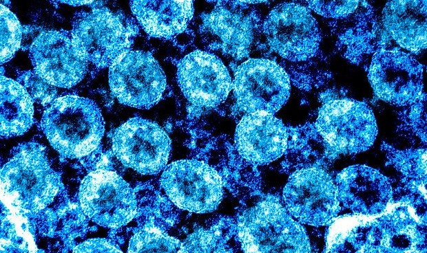 Covid-19 España en directo hoy: últimas noticias de contagios y brotes