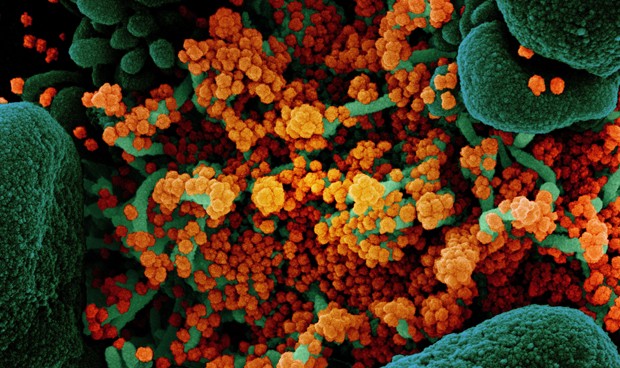 Covid-19 España hoy: nuevos datos y noticias de última hora en directo