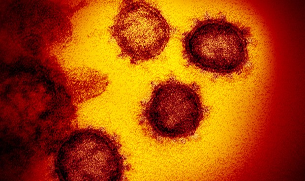 Covid-19 España hoy: rebrotes, últimos datos y crecen las muertes