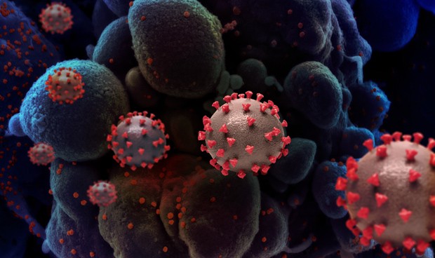 Covid-19 España hoy última hora nuevos datos: rebrotes, contagios y muertes