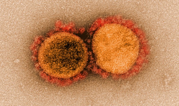 Covid-19 España, última hora hoy: mutación del virus, inmunidad y vacunas