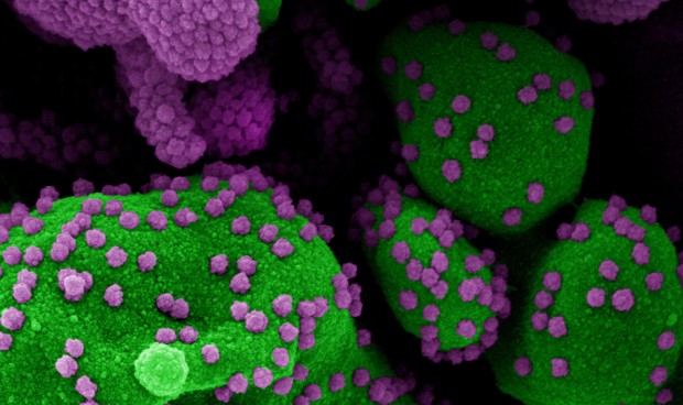 Covid-19 España hoy última hora: nuevos datos, noticias y avances