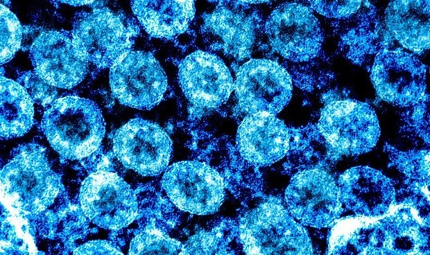 Covid-19 España última hora en directo: nuevos datos, repunte y segunda ola