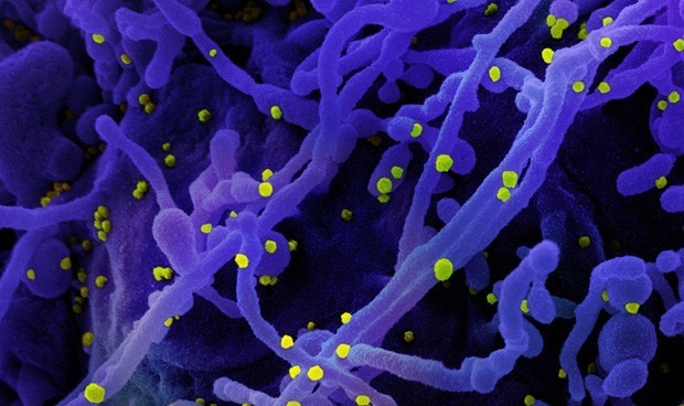 Covid-19 España: última hora sobre casos, brotes y confinamientos