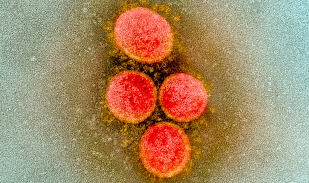 Covid-19 España en directo: datos actualizados y últimas novedades hoy
