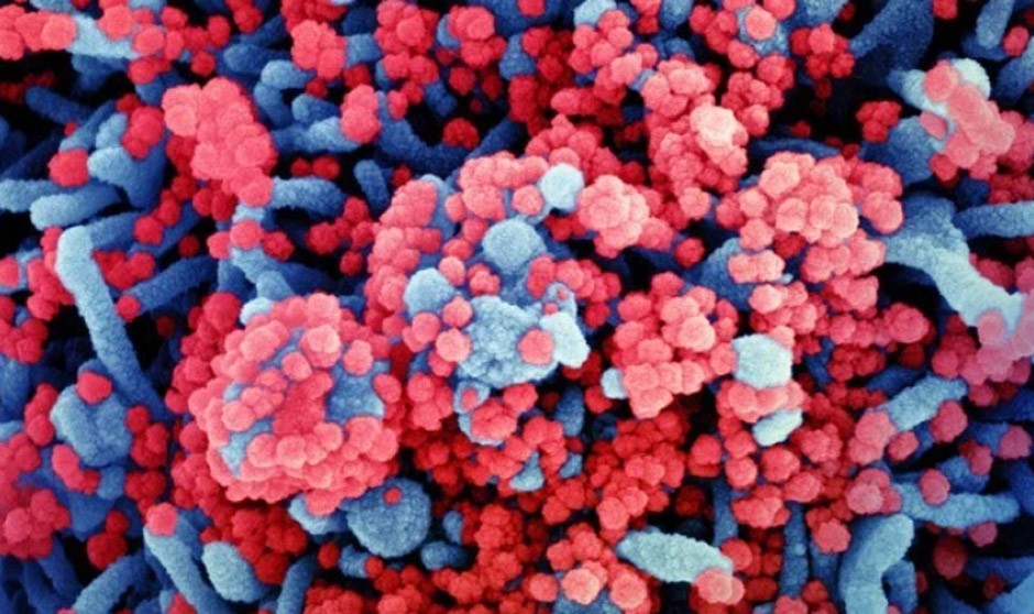 Covid-19 noticias en directo: la incidencia acumulada cae hasta 800 casos