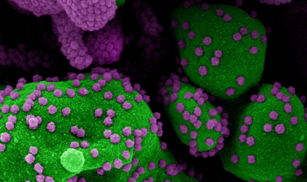 Covid-19 noticias en directo hoy: datos del repunte en España y vacuna