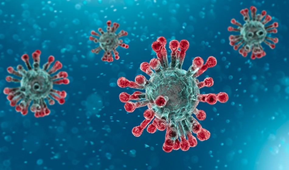 Covid-19 noticias en directo: incidencia estabilizada y variante XE