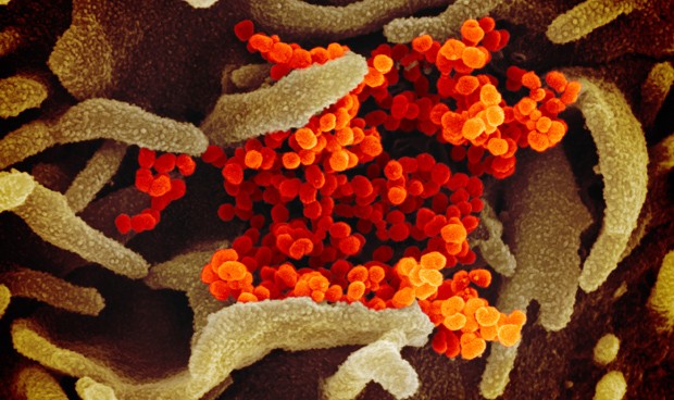 Covid-19 España en directo hoy: datos actualizados, brotes y segunda ola