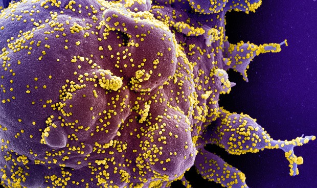 Covid-19 última hora: nuevos datos sobre contagios y fallecidos en España